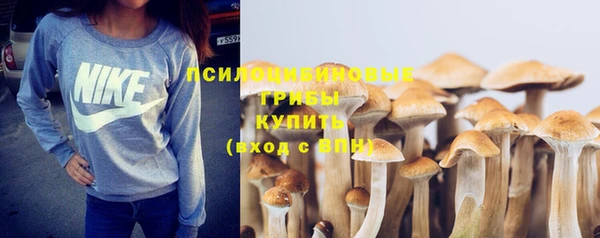 ПСИЛОЦИБИНОВЫЕ ГРИБЫ Володарск