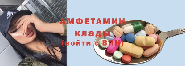 прущие грибы Волоколамск