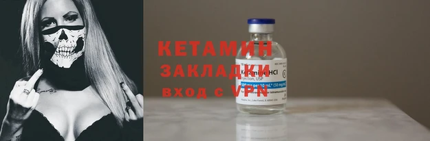 прущие грибы Волоколамск