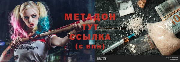 прущие грибы Волоколамск
