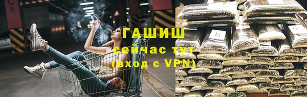 прущие грибы Волоколамск