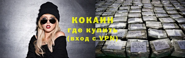 прущие грибы Волоколамск