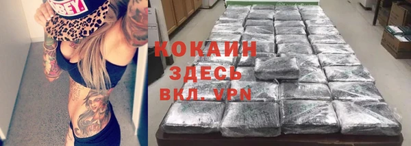 прущие грибы Волоколамск