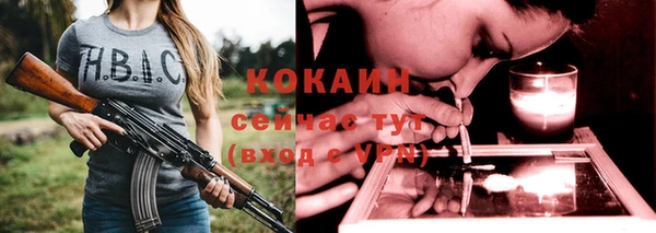 прущие грибы Волоколамск