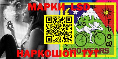 молекула духа Будённовск