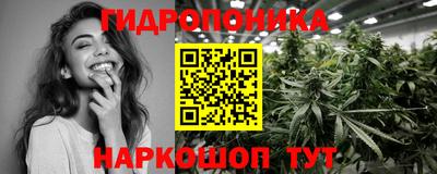 индика Абинск
