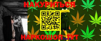 молекула духа Будённовск