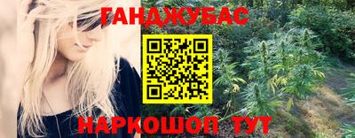 молекула духа Будённовск