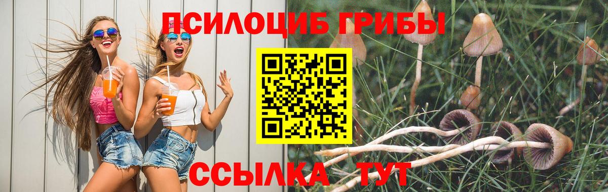 Псилоцибиновые грибы Cubensis Красноармейск