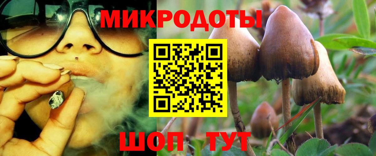 Галлюциногенные грибы Psilocybine cubensis  Вход с VPN  Красноармейск 